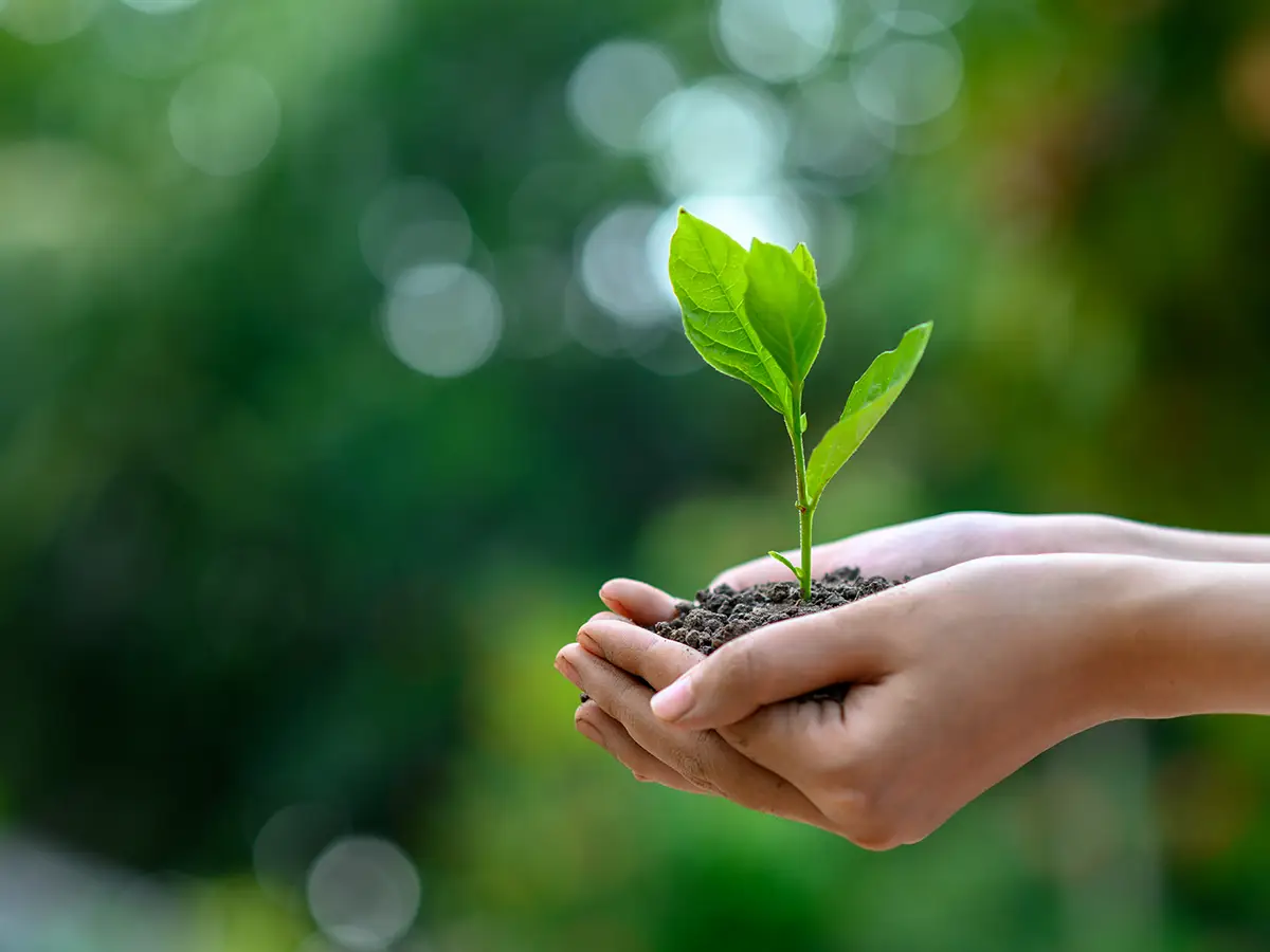 impegno nella tutela salvaguardia dell ambiente